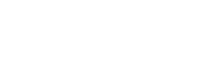 amepa logo